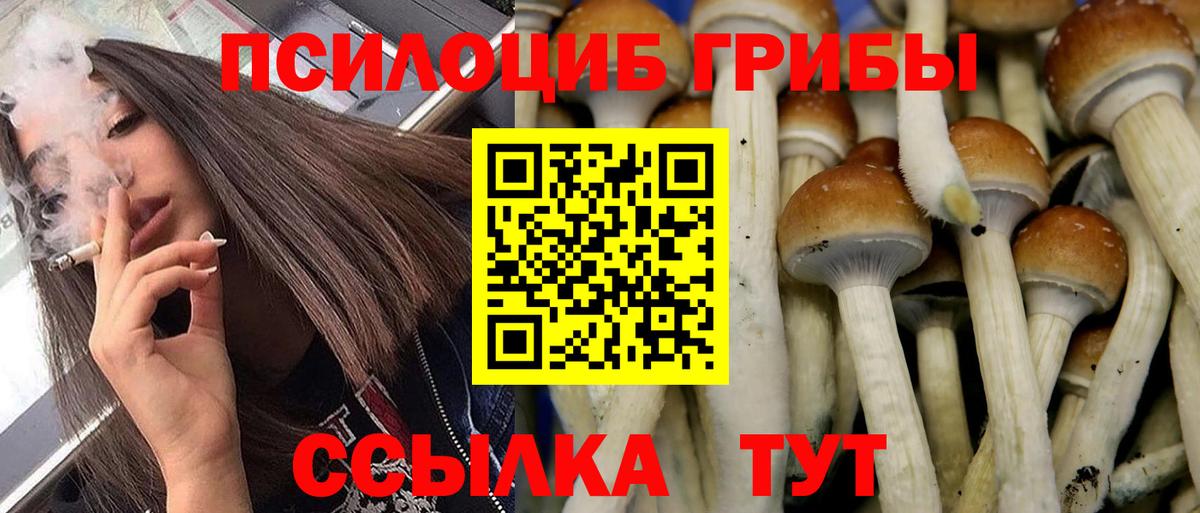 цены наркотик  Псилоцибиновые грибы прущие грибы  Вход с VPN  Чебаркуль 